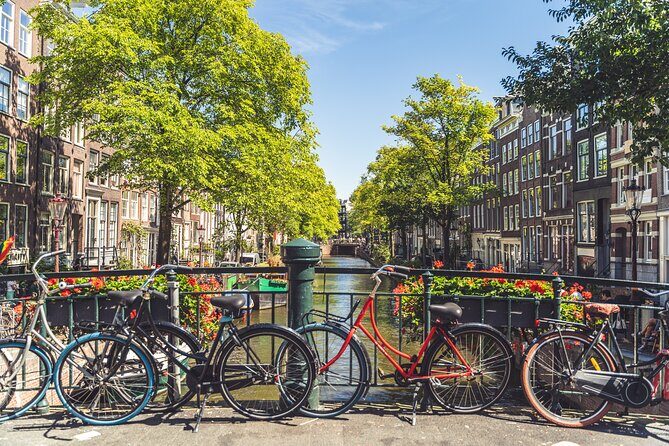 Amsterdam Highlights Small-Group Walking Tour - A Deep Dive into the Tour Experience