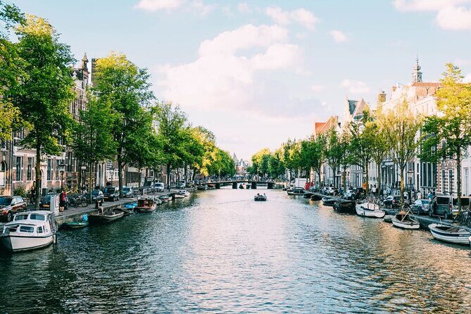 Amsterdam Highlights Walking Tour - Authentic Insights From Reviewers