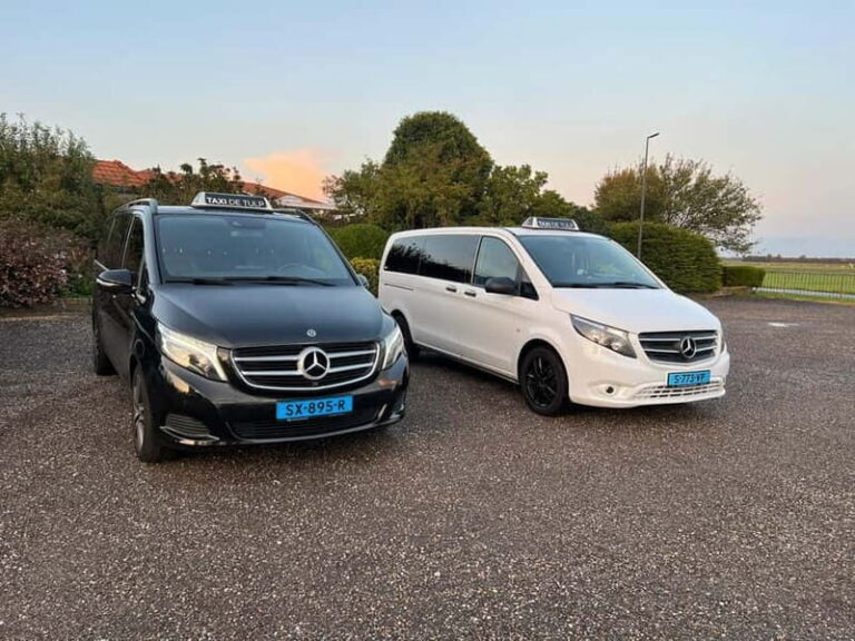 Amsterdam: Keukenhof and Tulip Fields Private Day Trip - Practical Details & What to Know