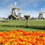 Amsterdam: Keukenhof and Zaanse Schans Windmills Day Trip - What to Expect at Zaanse Schans