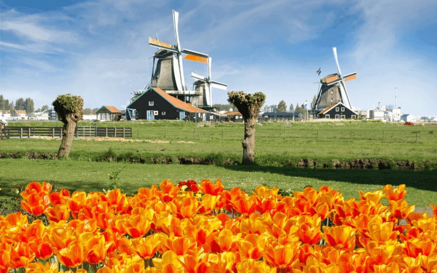 Amsterdam: Keukenhof and Zaanse Schans Windmills Day Trip - What to Expect at Zaanse Schans
