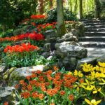 Amsterdam: Keukenhof Gardens Half Day Guided Tour - What to Expect from the Tour Experience