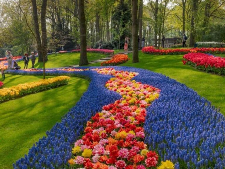 Amsterdam: Keukenhof Gardens & Tulip Fields Private Tour - Analyzing the Value of the Tour
