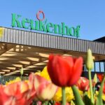 Amsterdam: Keukenhof Guided Tour and Flower Parade April 18 - Practical Details and Tips