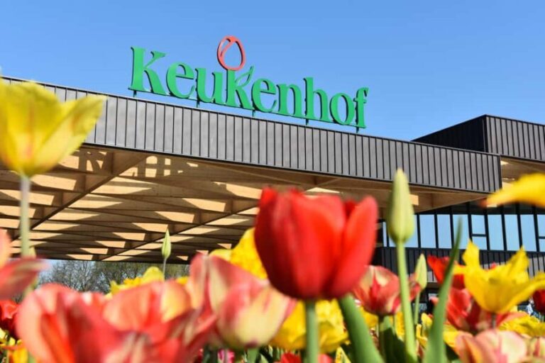 Amsterdam: Keukenhof Guided Tour and Flower Parade April 18 - Practical Details and Tips
