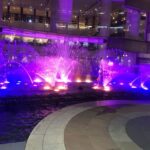 Amsterdam Light Festival Boat Cruise - Who Will Love This Experience?