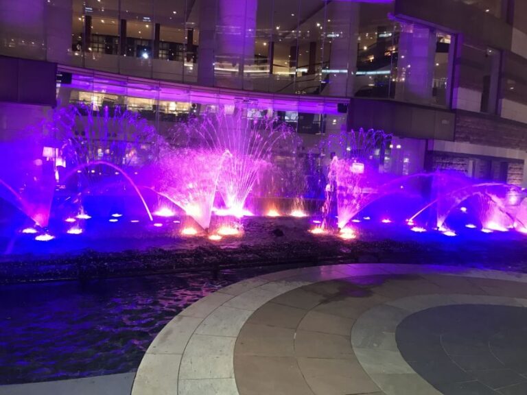 Amsterdam Light Festival Boat Cruise - Who Will Love This Experience?