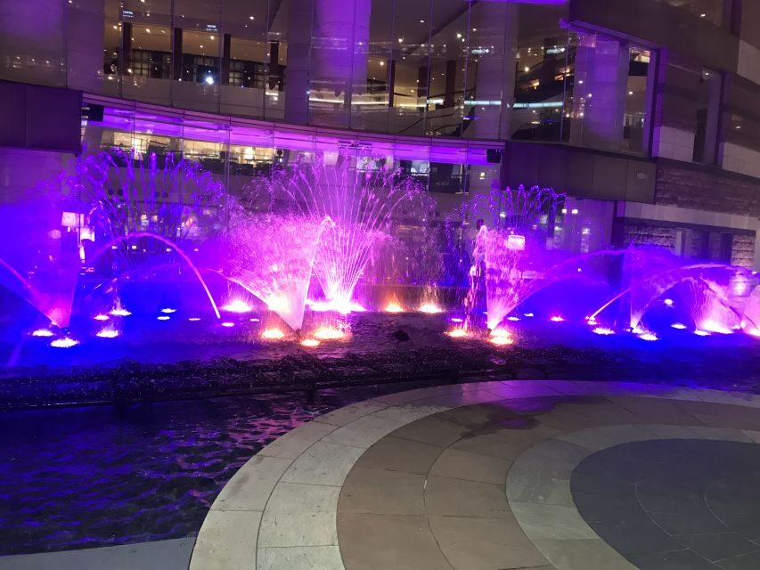 Amsterdam Light Festival Boat Cruise - Who Will Love This Experience?