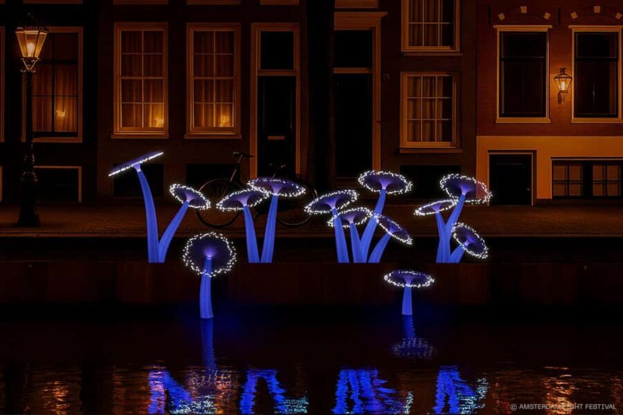 Amsterdam: Light Festival Open Boat Cruise - Authentic Perspectives from Reviewers