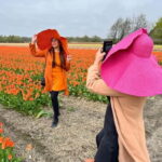 Amsterdam: Private Keukenhof and Free Tulip Tour - What You Need to Know Before Booking