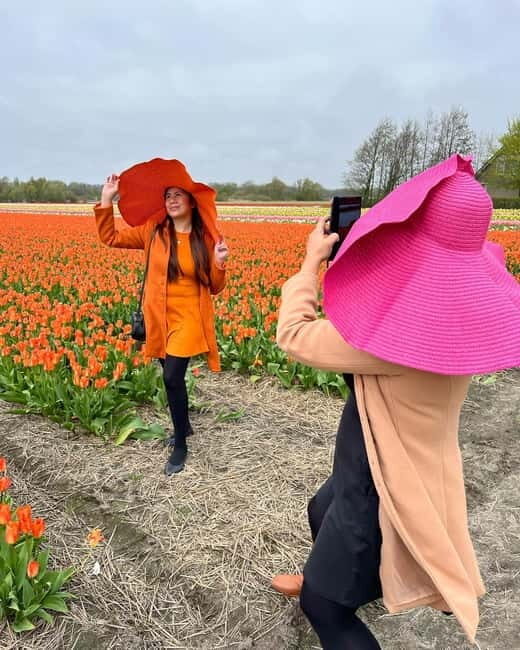 Amsterdam: Private Keukenhof and Free Tulip Tour - What You Need to Know Before Booking