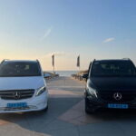 Amsterdam: Private Tour to Keukenhof & Free Tulip Experience - Price & Value Analysis