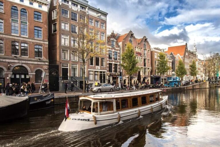 Amsterdam: Rotterdam Guided Day Trip - Who Will Love This Tour?