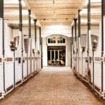 Amsterdam: The 'Hollandsche Manege' Stables Entry Ticket - An In-Depth Look at the Hollandsche Manege Experience