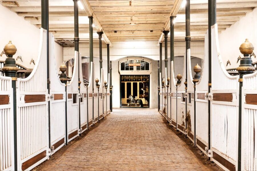 Amsterdam: The 'Hollandsche Manege' Stables Entry Ticket - An In-Depth Look at the Hollandsche Manege Experience