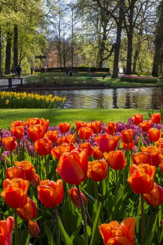 Amsterdam: Tour to Keukenhof Gardens with Windmill Cruise - The Itinerary Breakdown