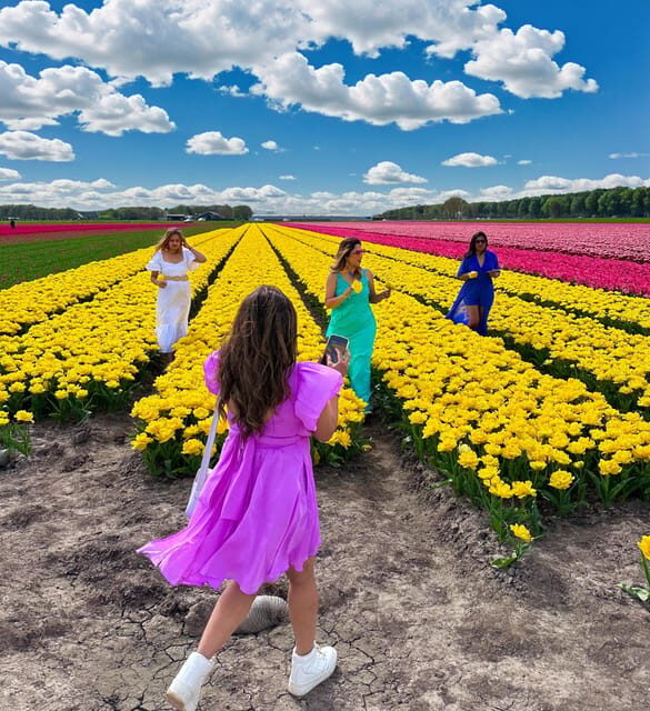 Amsterdam: Tulip Fields Day Tour with Lunch & Windmill - FAQ