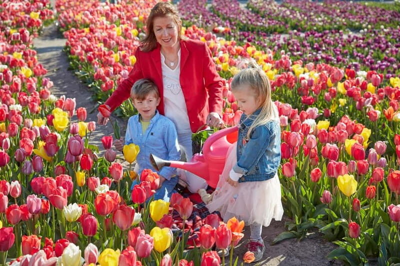 Amsterdam : Tulip Wonderland Tour - Authentic Reviews Enhancing the Experience