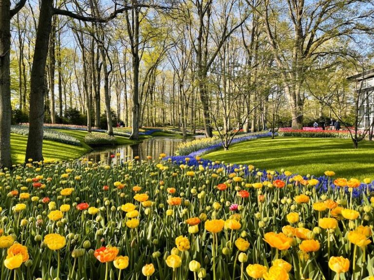 Amsterdam: Tulips & Windmill - Full day PRIVATE tour by car - Who Would Love This Tour?
