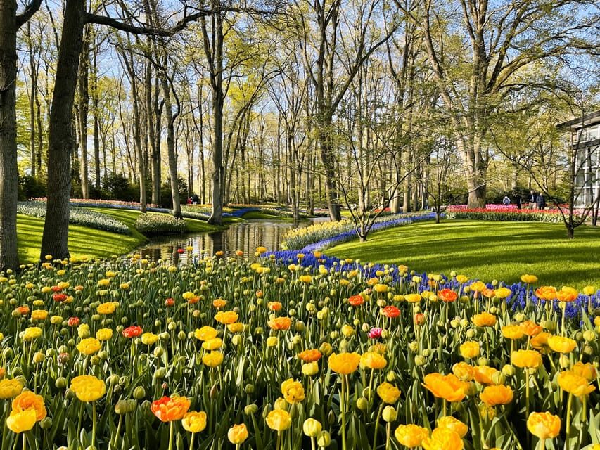 Amsterdam: Tulips & Windmill - Full day PRIVATE tour by car - Who Would Love This Tour?