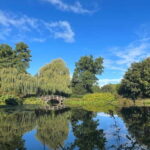 Amsterdam: Ultimate City Park Tour - Why This Tour Offers Great Value