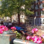 Amsterdam Walking Tour and Canal Cruise - What Sets This Tour Apart?