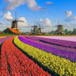Amsterdam: Zaanse Schans, The Hague & Rotterdam Tour - Why This Tour Works