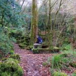 An adventure through the Forest and Palace of Bussaco - Coimbra - FAQ