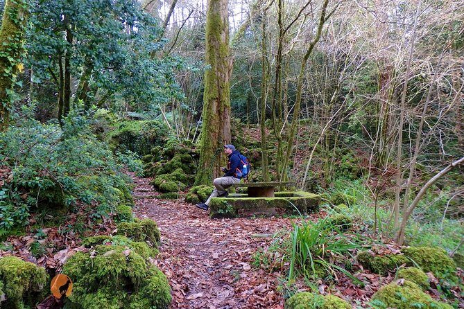 An adventure through the Forest and Palace of Bussaco - Coimbra - FAQ