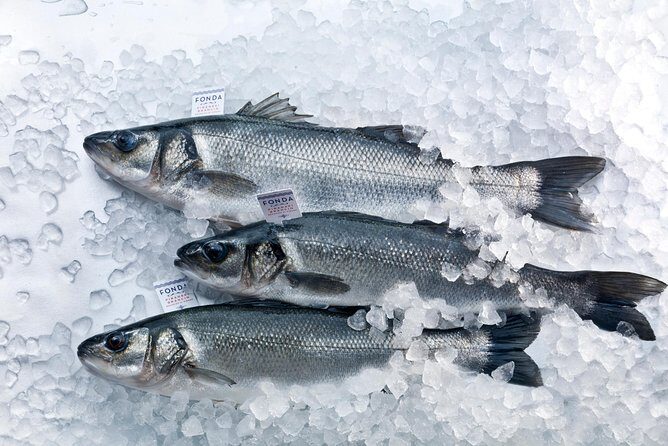 An Unforgettable Day With Fish, Wine and Olive Oil Tasting - The Itinerary in Detail