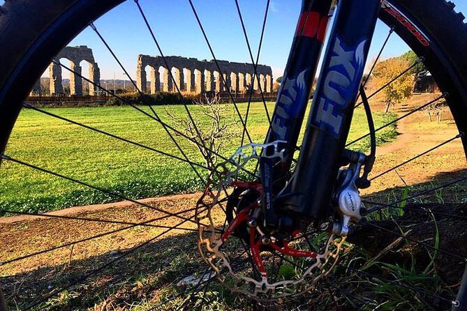 Ancient Appian Way and Roman Countryside E-Bike Tour - A Deep Dive into the Experience
