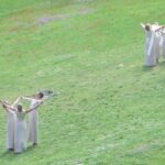 Ancient Olympia Full day Private Guided Tour From Athens - Practical Details and Travel Experience