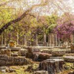 Ancient Olympia full day private tour from Athens - Cultural and Culinary Highlights