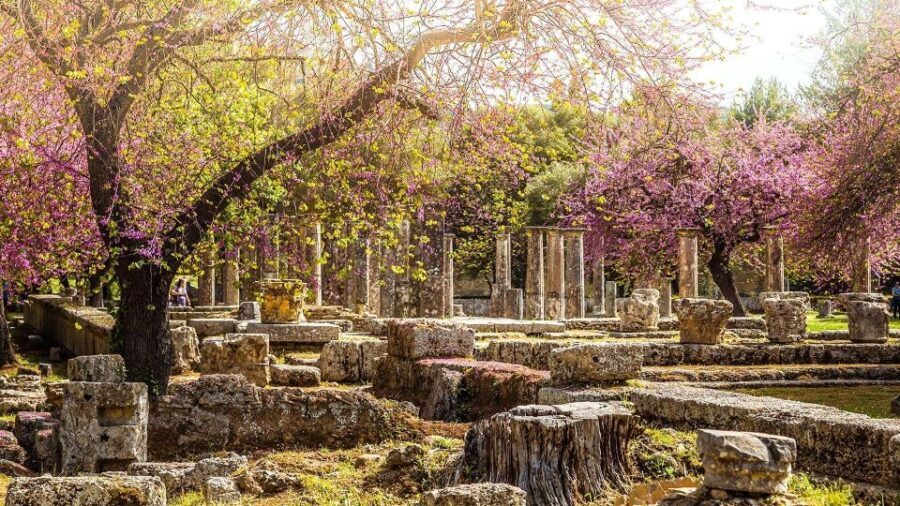 Ancient Olympia full day private tour from Athens - Cultural and Culinary Highlights