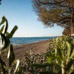 Ancient Olympia & Kourouta Beach - All Included Tour - Practical Details and What To Know Before You Go