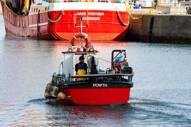 Ancient Paths of Howth Village with a Local and his Dog - Practical Details and Experience Tips