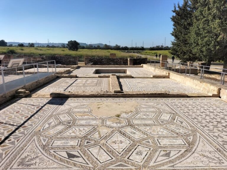 Ancient Rome in Seville: Exclusive Italica Guided Tour - Practical Details and Tips