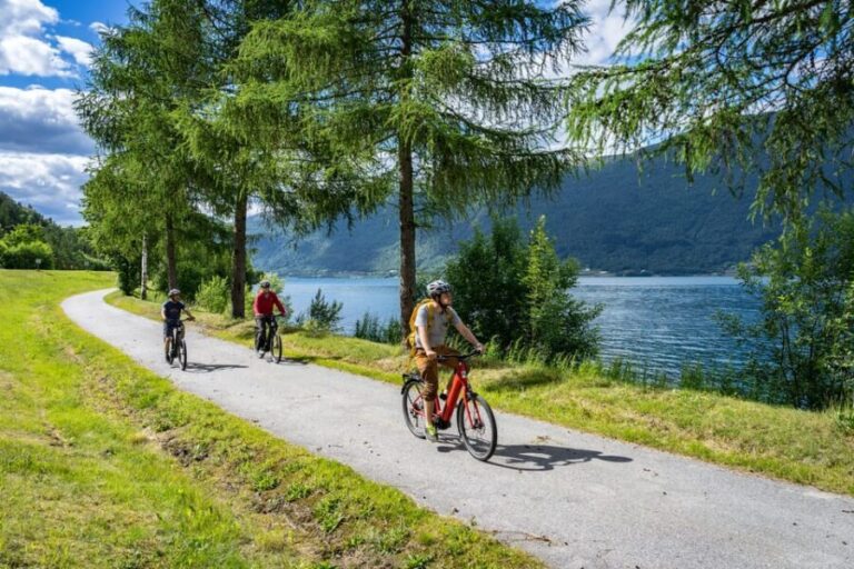 Andalsnes: Bike & Hike Adventure to Litlefjellet Summit - What We Love About This Tour