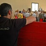 Andalucia Bull and Horse Farm and Ronda Private Tour from Malaga - Who Will Love This Tour?