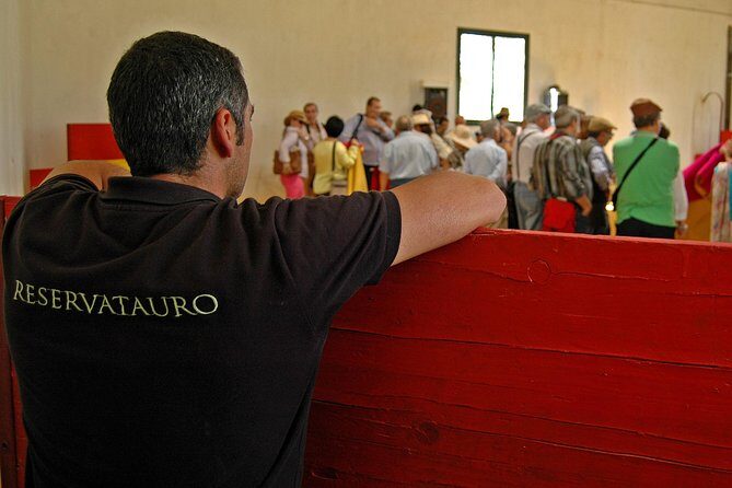 Andalucia Bull and Horse Farm and Ronda Private Tour from Malaga - Who Will Love This Tour?