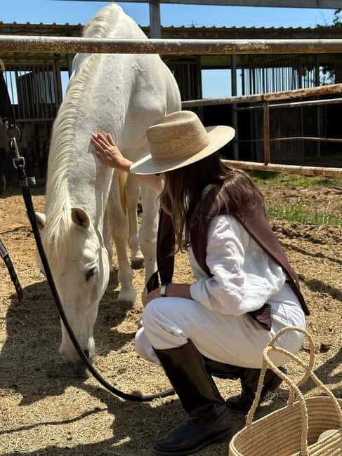 Andalusia, Spain: Horseback Safari with Gourmet Picnic - An In-Depth Look at the Experience