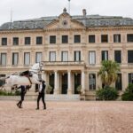 Andalusian Horses Dance Show - Additional Tips