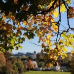 Andechs Monastery Beer Hike Food Experience Private Tour - Why This Tour Offers Great Value