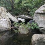 Andros Full Day Sightseeing Tour - Authenticity and Unique Experiences