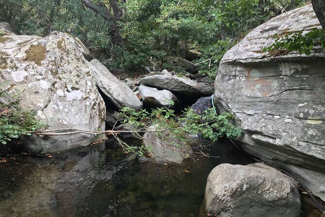 Andros Full Day Sightseeing Tour - Authenticity and Unique Experiences