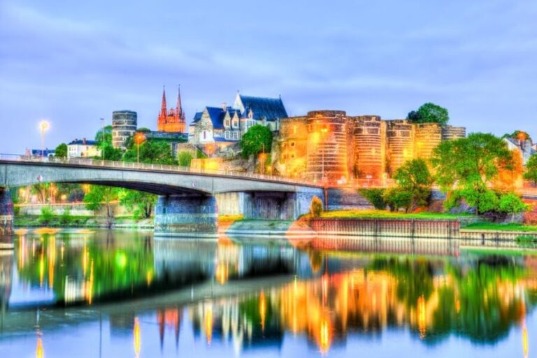 Angers: Château d'Angers entrance Ticket - The Apocalypse Tapestry – A Medieval Masterpiece