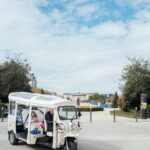 Angers : Explore the City Center by Electric Tuk-Tuk - Final Thoughts: Who Is This Tour Best For?