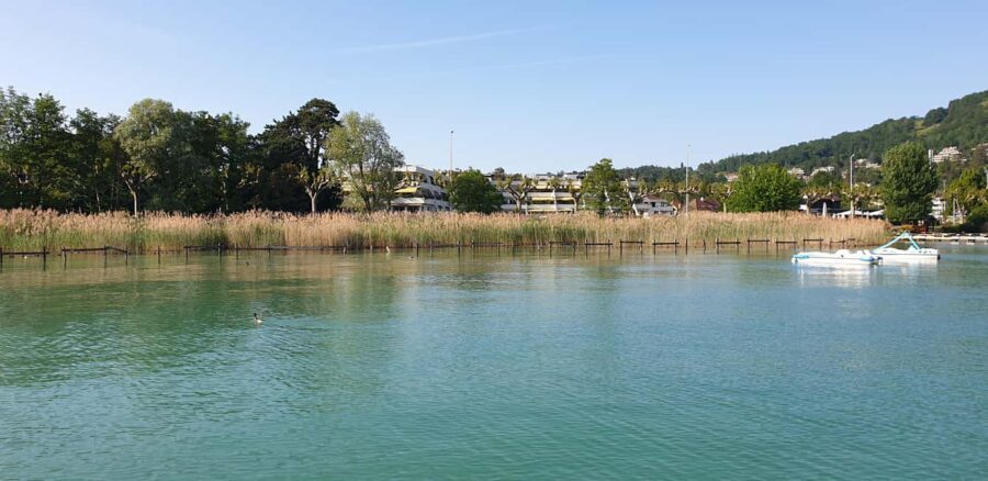 Annecy: enjoy an unforgettable city tour with a native guide - What to Expect During the Tour