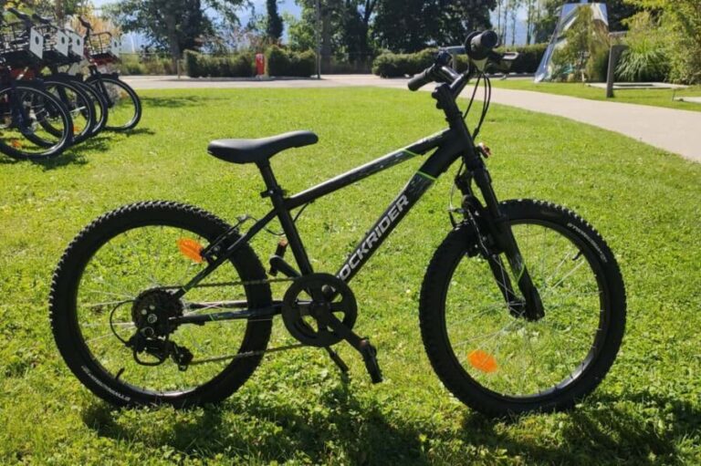 Annecy-le-Vieux, France: Electric and Muscle Bike Rentals - Practical Details and Tips