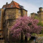 Annual Admission Newcastle Castle Ticket - The Experience: A Mix of Self-Guided Discovery and Authentic Stories